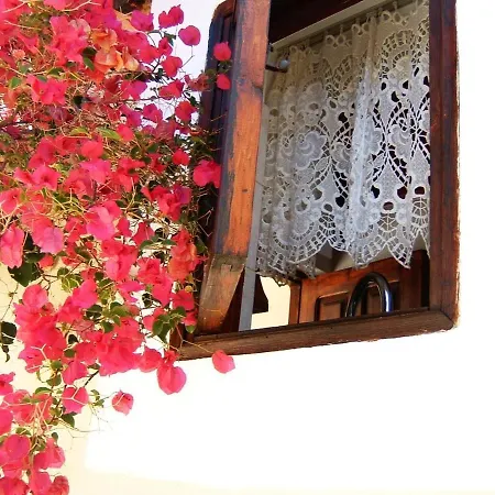 Homestay Yiayia's
