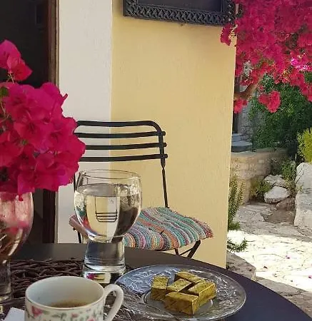 Homestay Yiayia's